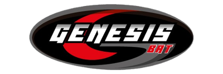 Génesis Baterías